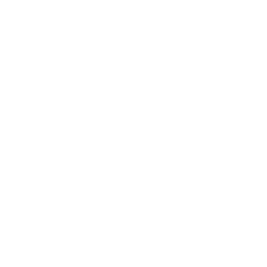 MIBR Pro Settings